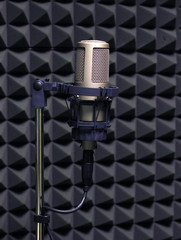 Microphone in Recording Studio Sound Recording Production Equipment