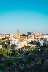 Obraz premium Details of the ruins of the Roman forum in Rome