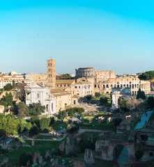 Obraz premium Details of the ruins of the Roman forum in Rome