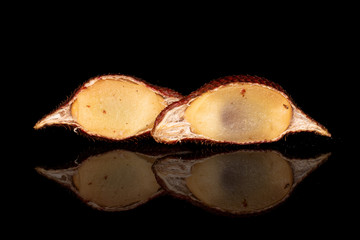 Group of two halves of exotic brown salak isolated on black glass