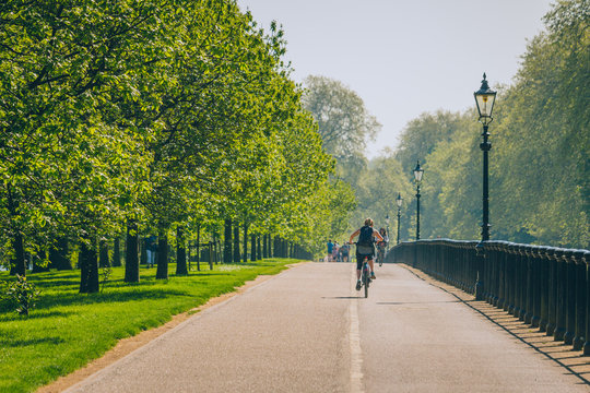 Unknown riders, shown from behind,  biking on a path in the park on a beautiful spring morning. Row of trees and lamp posts create leading lines in the photo. 