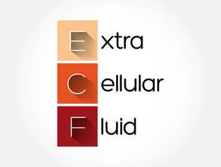 ECF - Extracellular fluid acronym, medical concept background