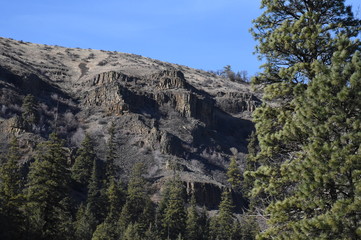 Fototapeta na wymiar Basalt Cliff