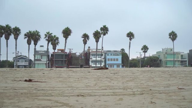 Houses and palm trees on California beach