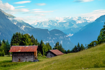 Fototapeta na wymiar Villars-sur-Ollon, Vaud / Switzerland: Swiss landscape in summer with the snowy Alps in the background