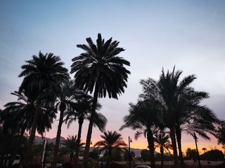 Jordan , Wadi Rum and Petra 