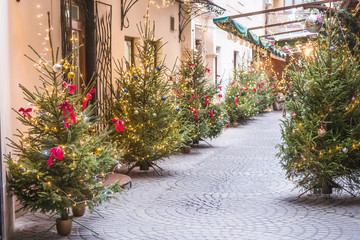 yard with new year trees and christmas decorations on a door