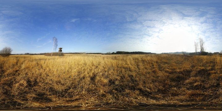 Look Out in the Forest HDRI Panorama