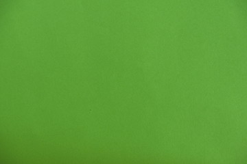 Beautiful light green background design. Cardboard color