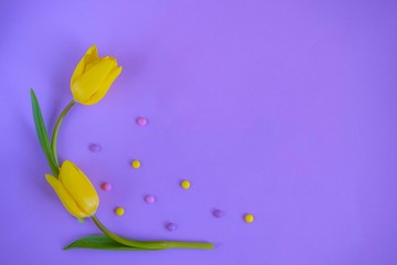 Easter background with eggs and tulip