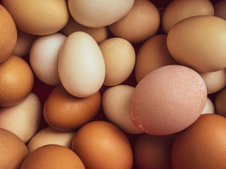 Huevos orgánicos 