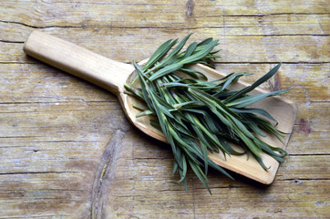 Sclopit Silene vulgaris Navadna pokalica Taubenkropf-Leimkraut