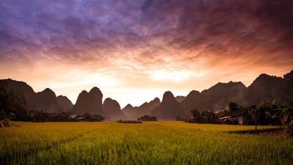 Naklejka premium Phia thap village and valley, quang uyen district, Cao Bang. Vietnam landscape at sunset. Karst limestone peaks and rice fields. 