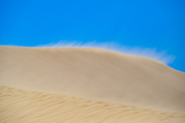 desert wind blows sand.sand dunes