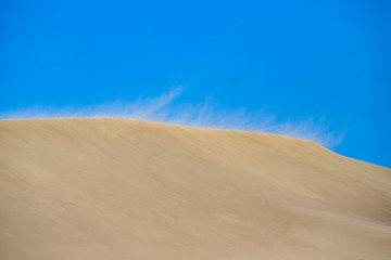 Naklejka premium desert wind blows sand.sand dunes