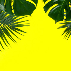 Fototapeta na wymiar Tropical palm leaves and monstera leaf on pastel yellow background. Flat lay, top view, copy space. Summer background, nature. Creative minimal background with tropical leaves. Leaf pattern