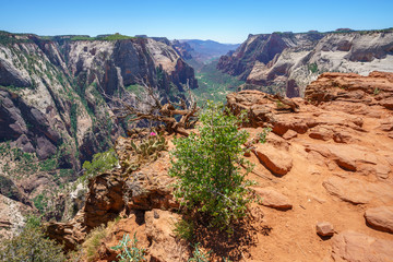 hiking the observation point trail in zion national park, usa