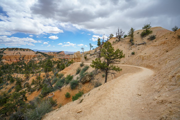 hiking the fairyland loop trail in bryce canyon national park, utah, usa