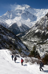 Annapurna Circuit track. Hikers on the background of Anapurna II Peak (7 937 m).