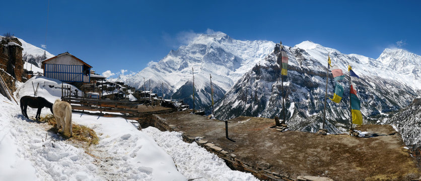 Annapurna Circuit track. View at Anapurna from Ghyaru village.