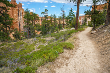 hiking the fairyland loop trail in bryce canyon national park, utah, usa