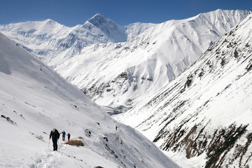 Fototapeta na wymiar Annapurna Circuit trek. Hikers on the trail. View at Anapurna III Peak (7 555 m) Gangapurna Peak (7 455 m). Nepal..