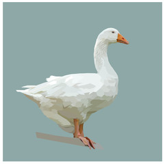 Obraz premium Low Poly, vector illustration White goose