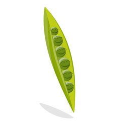 funny cartoon illustration of green peas