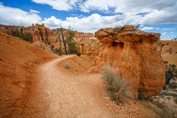 hiking the fairyland loop trail in bryce canyon national park, utah, usa