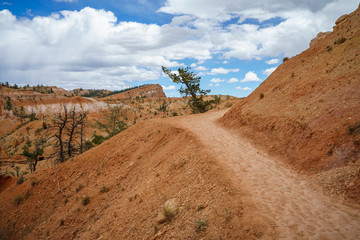 hiking the fairyland loop trail in bryce canyon national park, utah, usa