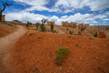 hiking the fairyland loop trail in bryce canyon national park, utah, usa