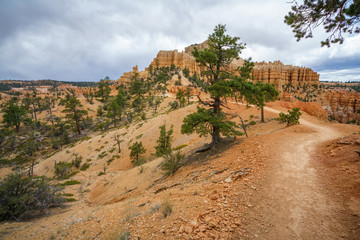 hiking the fairyland loop trail in bryce canyon national park, utah, usa