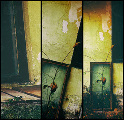 Exterior still life creative collage background in Sinaia, Romania  