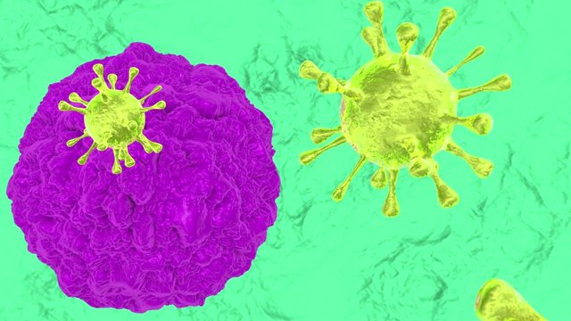 3d animation of absorption process of viruses by immune cell in the human body.