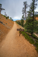hiking the fairyland loop trail in bryce canyon national park, utah, usa