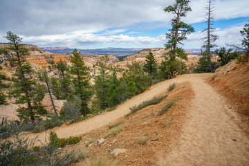 hiking the fairyland loop trail in bryce canyon national park, utah, usa