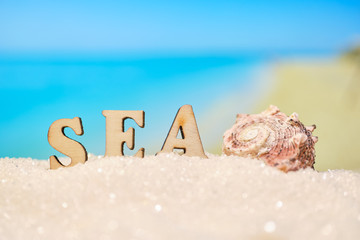 The word sea seashell with abstract sand with blurry photo of sea and beach.