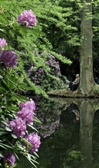Mann erholt sich im Park mit Rhododendron