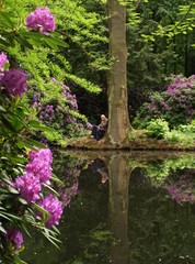 Erholung im Park mit Rhododendron