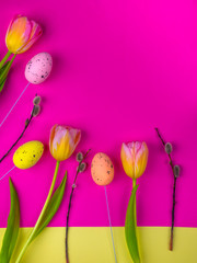 Tulips and willow on pink and yellow background.