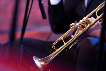 A trumpet player dressed in concert black sitting and holding a gold plated trumpet