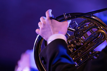A French horn player playing his instrument in a classical symphony orchestra with another player in the background with the room flooded with purple stage lights © Janisphoto