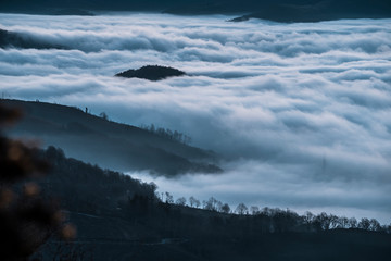 Detail of the fog about to rise in the sun in the valley of Lesaka, Navarra. Basque Country