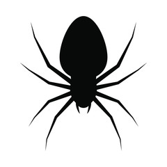 Spider silhouette isolated on white background. Spider logo template. Spider icon. Vector Illustration