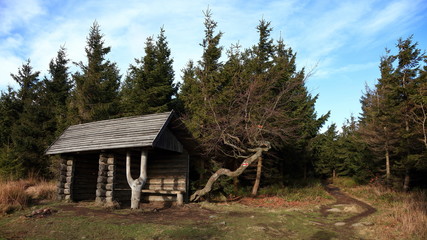 Fototapeta na wymiar Tourist shed on marked hiking route in the forest