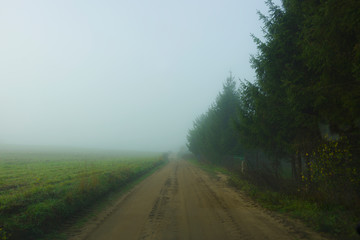 Fototapeta na wymiar Road among trees during fog, foggy landscape, autumn, mood, seasons