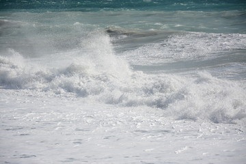 mare