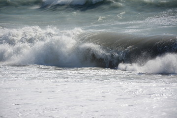 mare