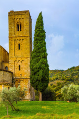 The cypress adorns the abbey
