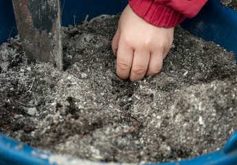 the child cultivates the ground preparing the soil for sowing
